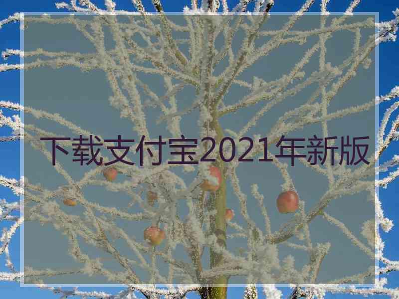 下载支付宝2021年新版