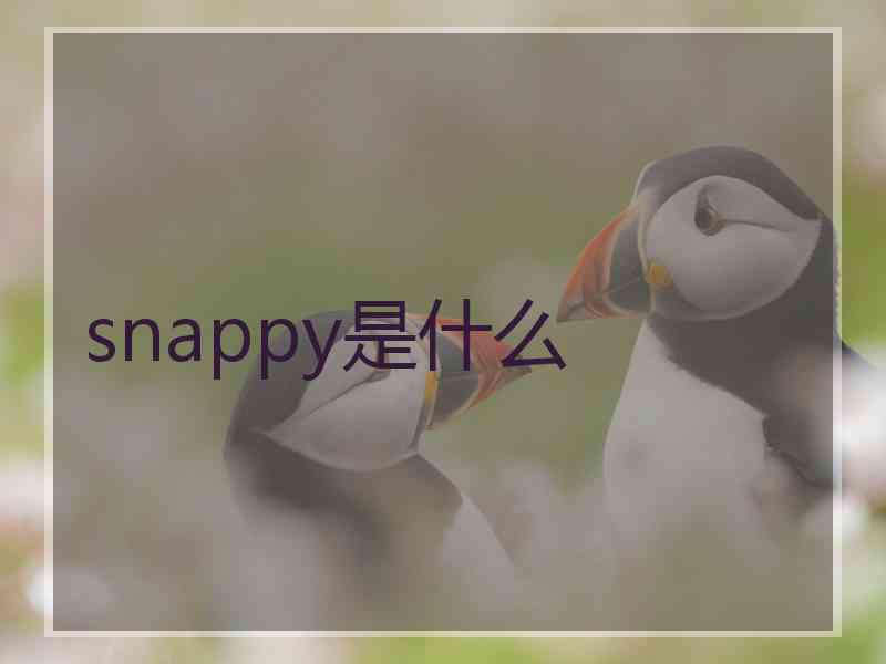 snappy是什么