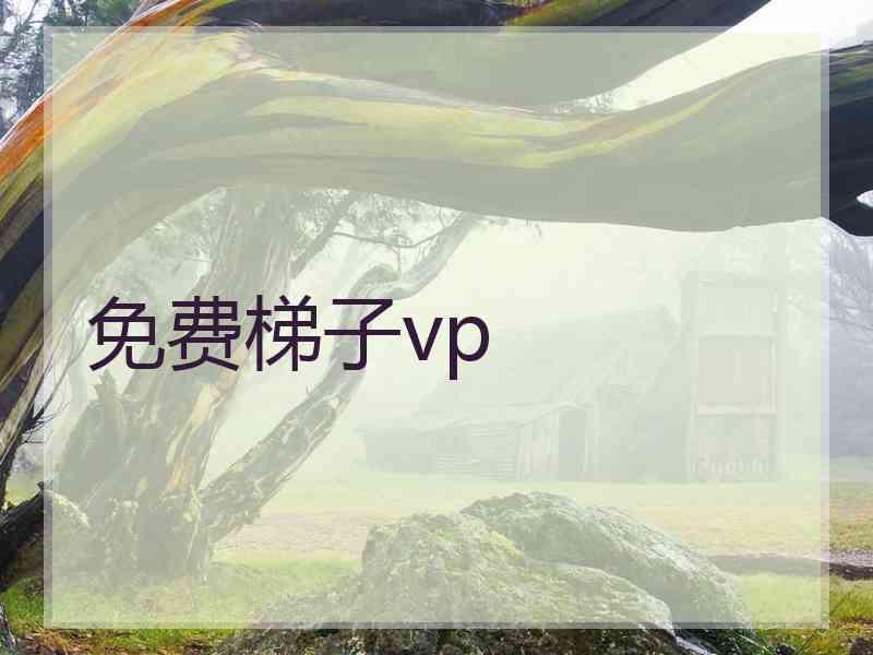 免费梯子vp