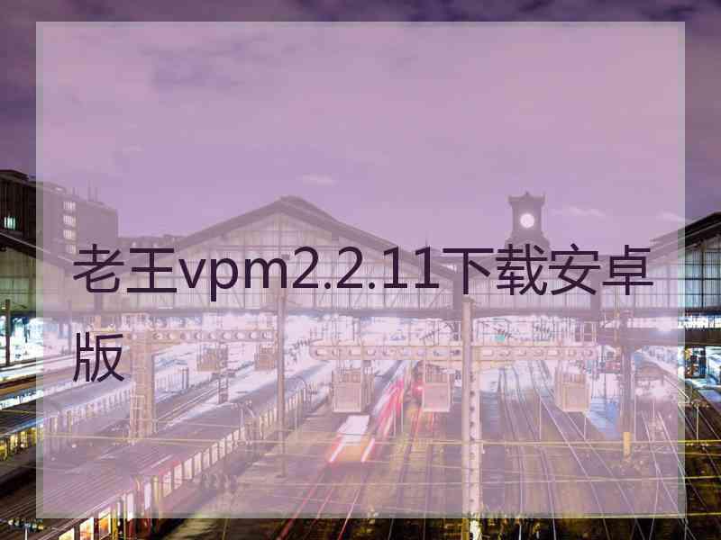 老王vpm2.2.11下载安卓版