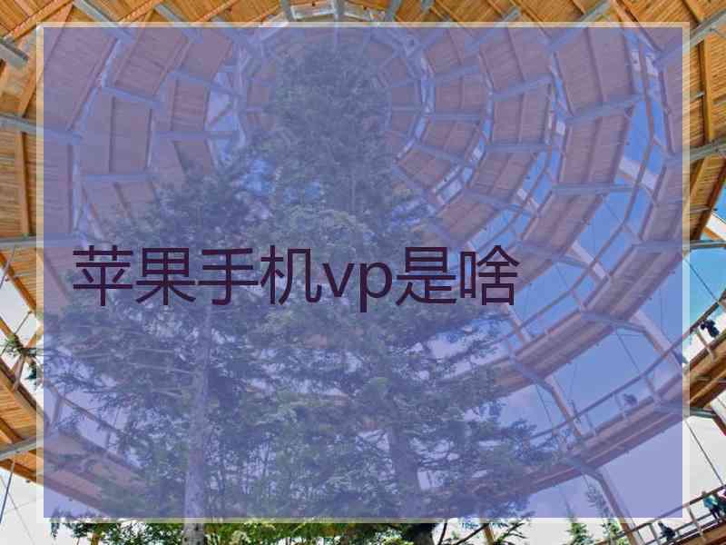 苹果手机vp是啥