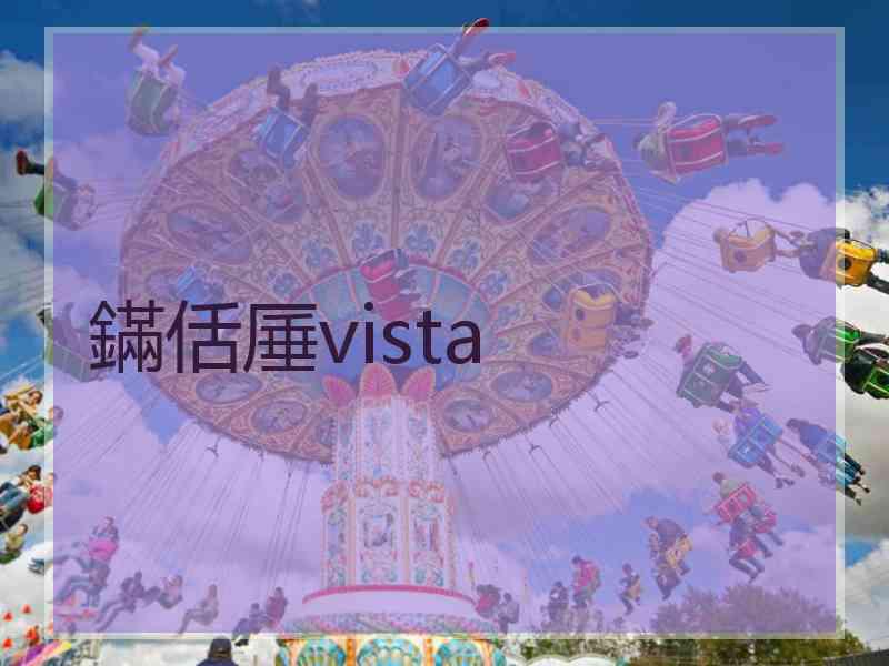 鏋佸厜vista