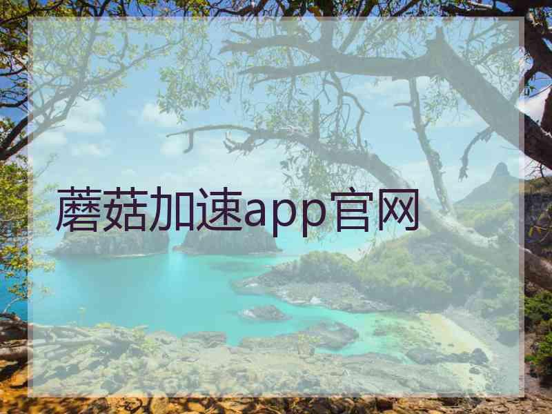 蘑菇加速app官网