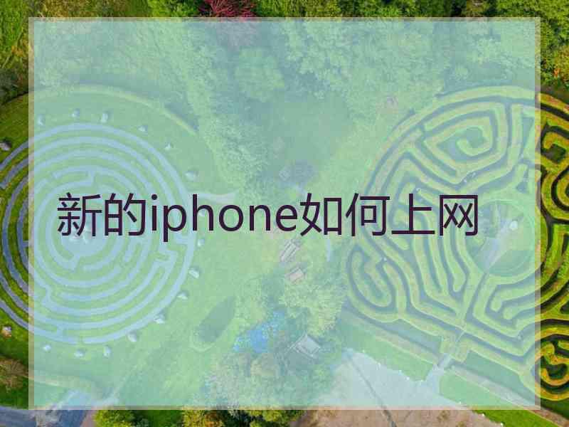 新的iphone如何上网