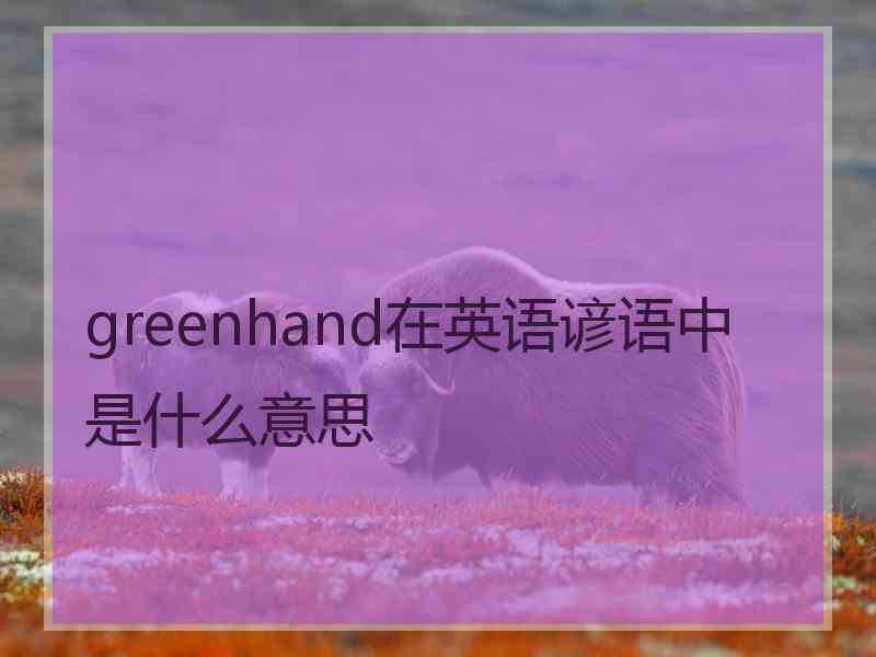 greenhand在英语谚语中是什么意思