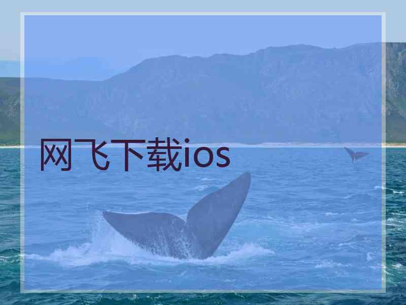 网飞下载ios