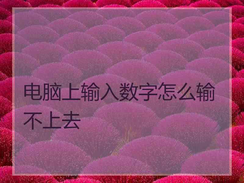 电脑上输入数字怎么输不上去