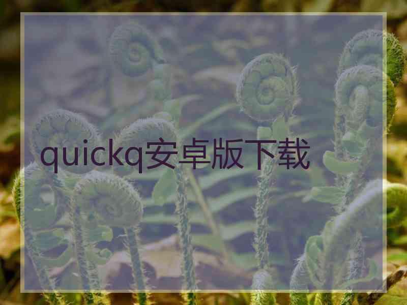 quickq安卓版下载