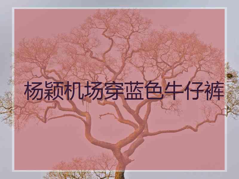 杨颖机场穿蓝色牛仔裤