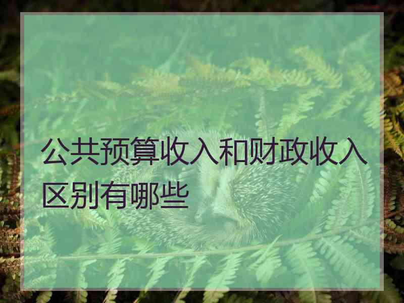 公共预算收入和财政收入区别有哪些