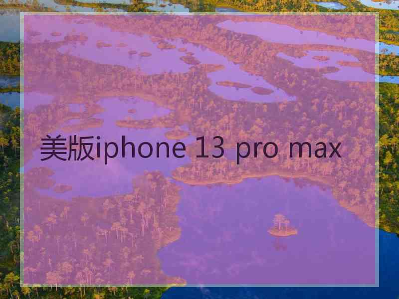 美版iphone 13 pro max