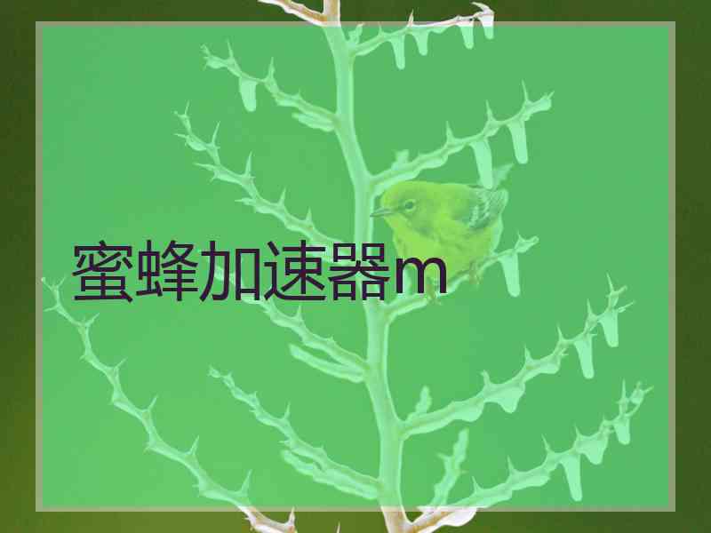 蜜蜂加速器m