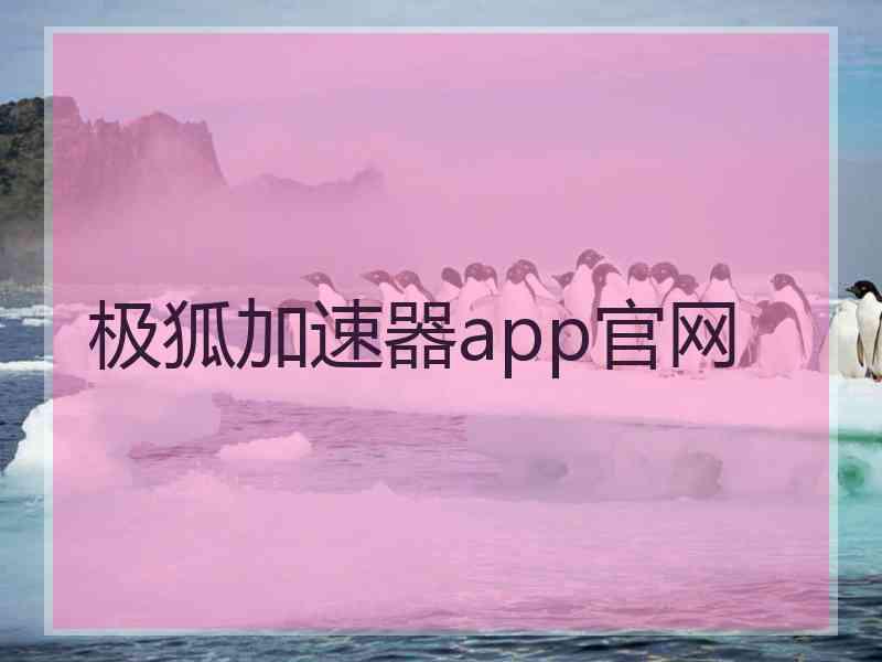 极狐加速器app官网