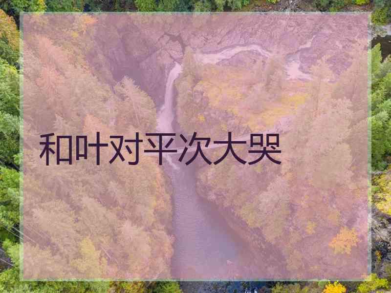 和叶对平次大哭