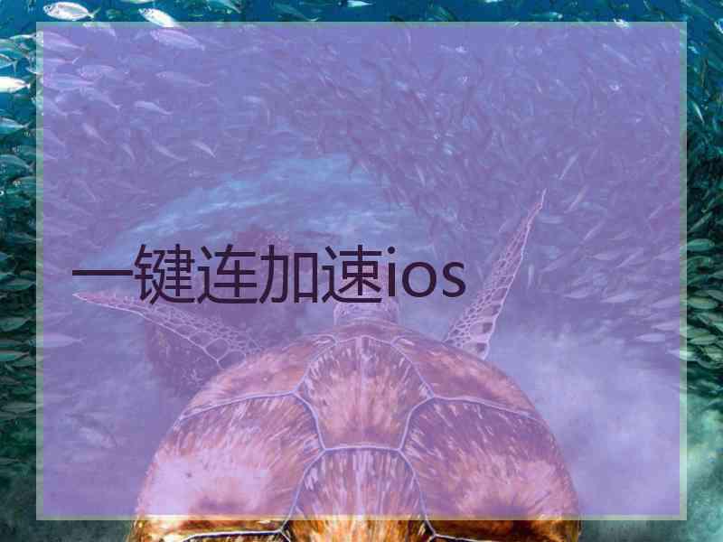 一键连加速ios