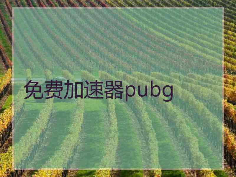 免费加速器pubg