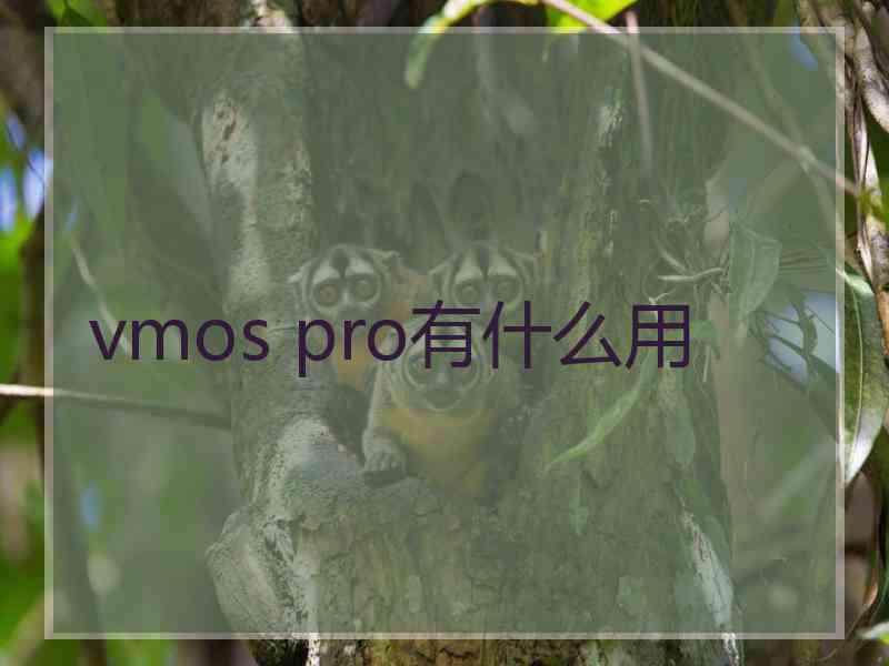 vmos pro有什么用