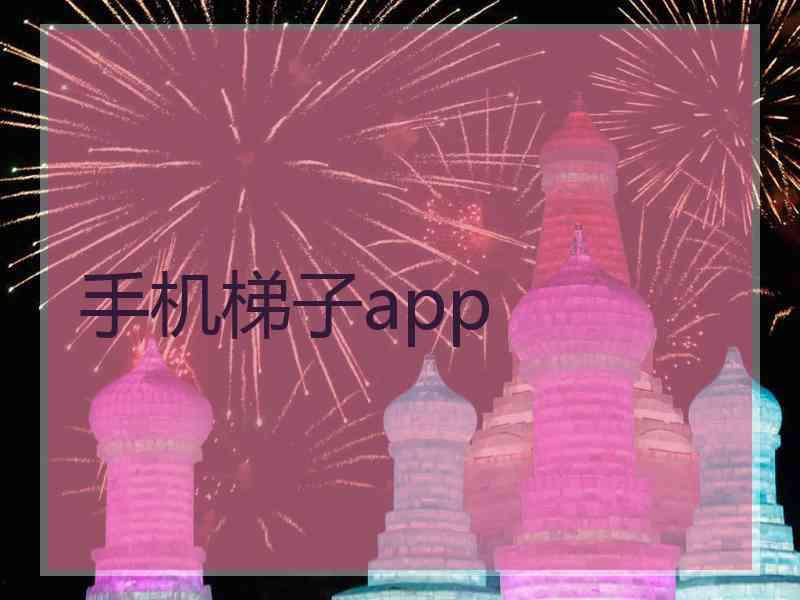 手机梯子app