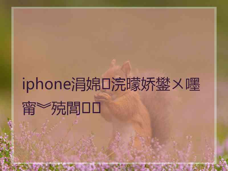 iphone涓婂浣曚娇鐢ㄨ嚜甯︾殑閭