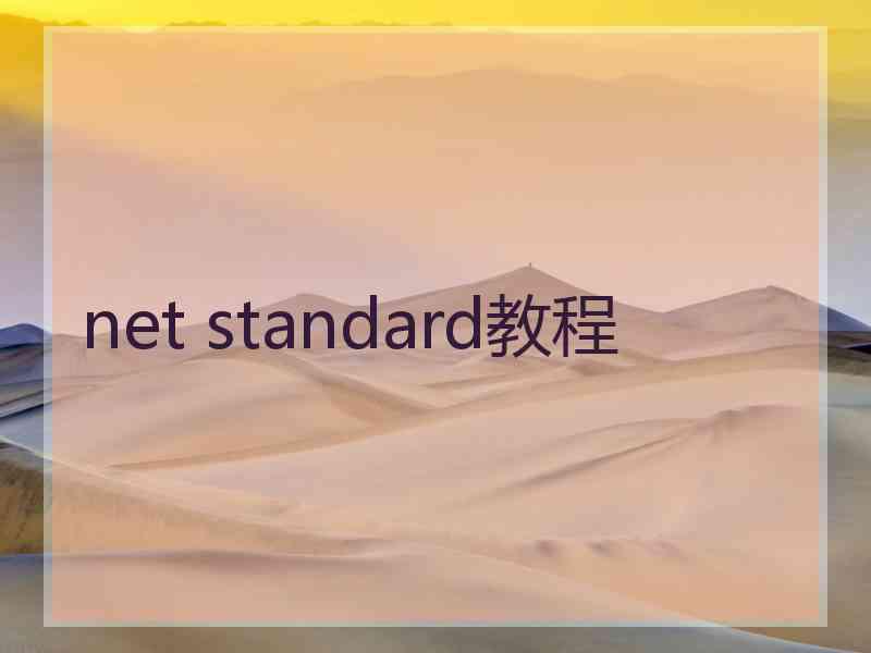 net standard教程