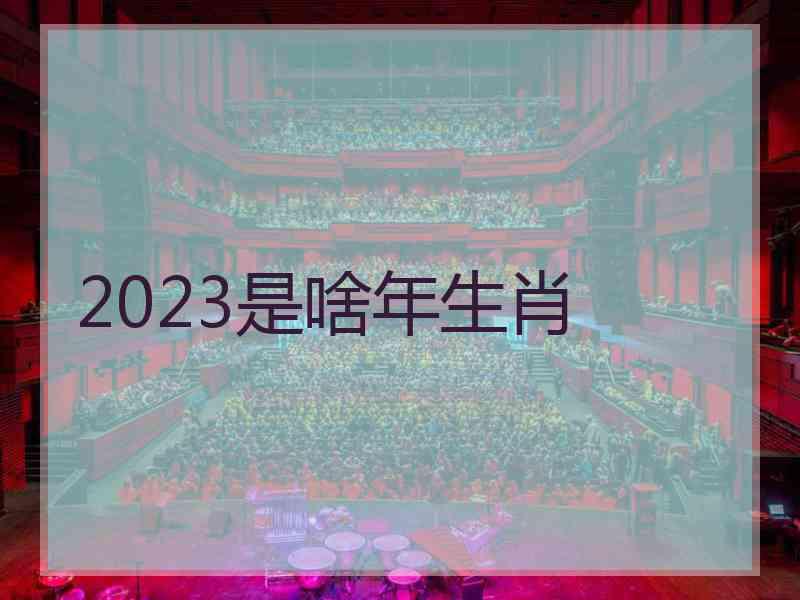 2023是啥年生肖