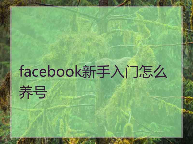 facebook新手入门怎么养号