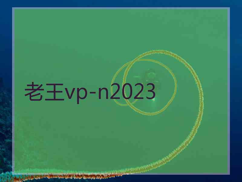 老王vp-n2023