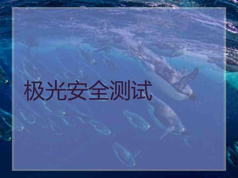 极光安全测试