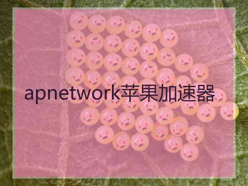 apnetwork苹果加速器