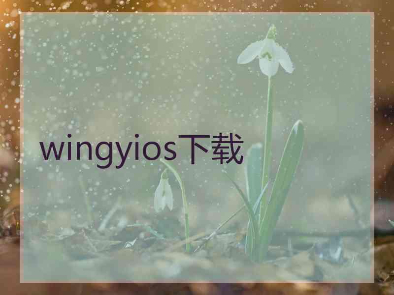 wingyios下载