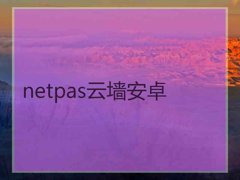 netpas云墙安卓