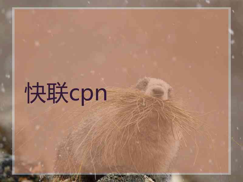 快联cpn