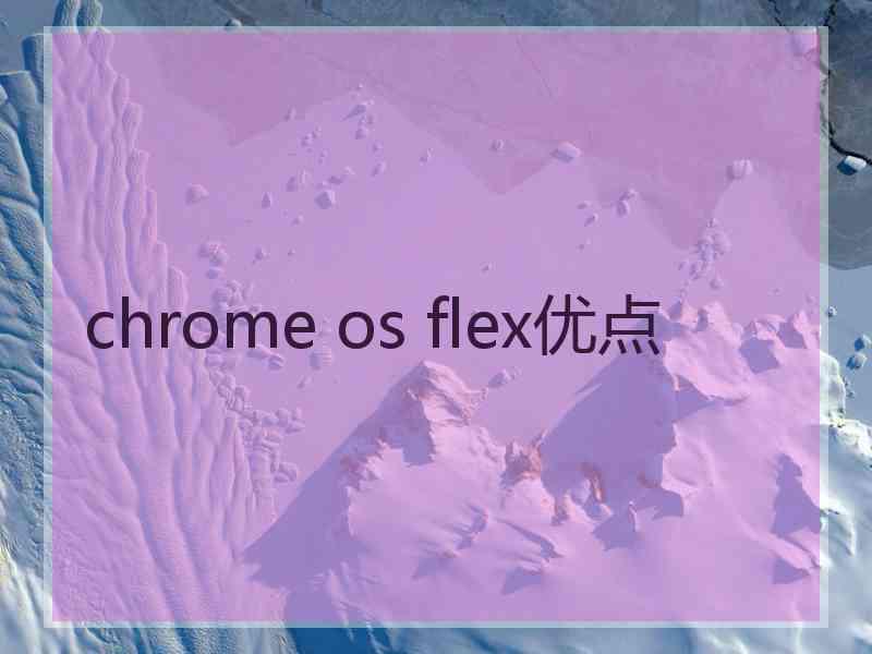 chrome os flex优点