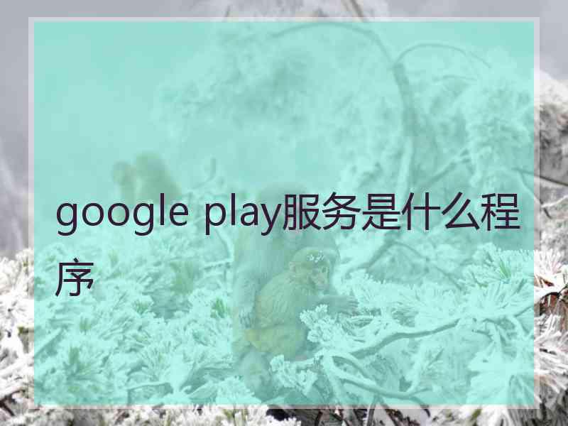 google play服务是什么程序