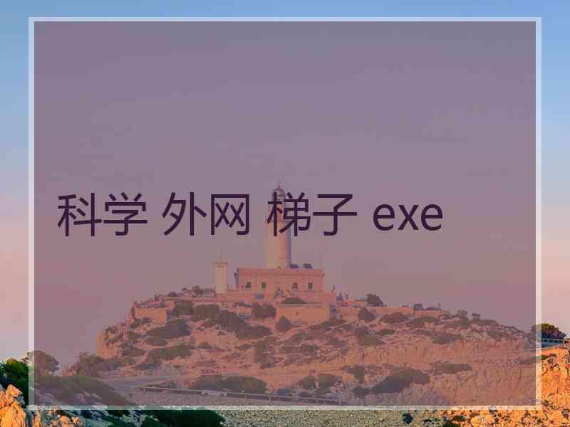 科学 外网 梯子 exe