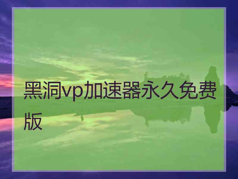 黑洞vp加速器永久免费版