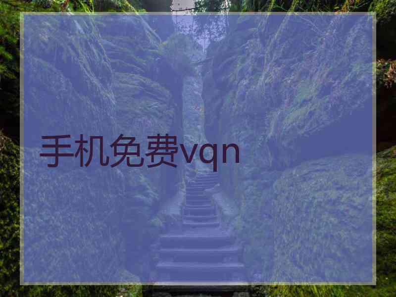 手机免费vqn