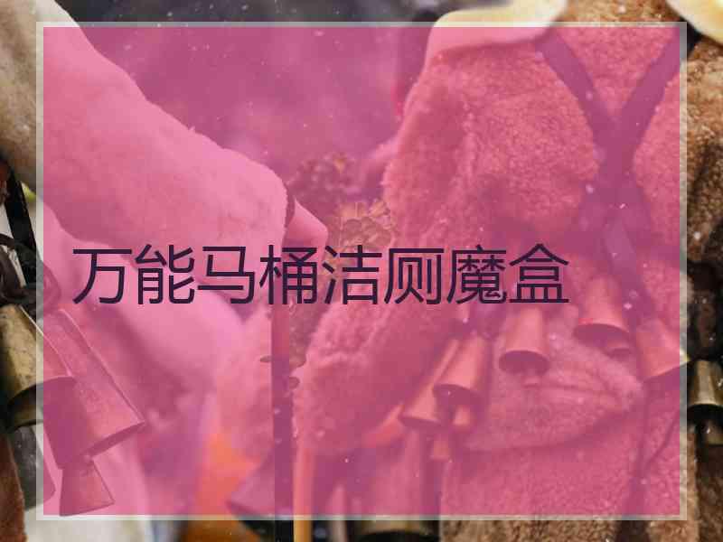 万能马桶洁厕魔盒