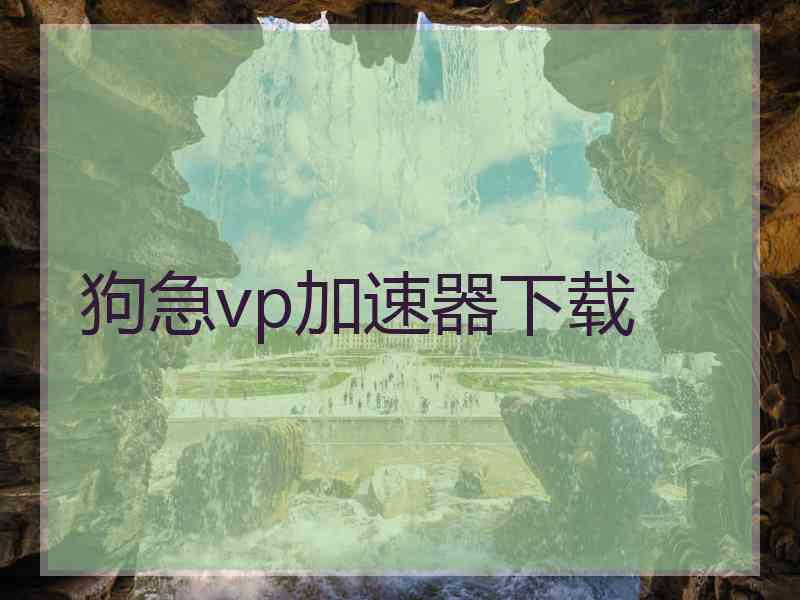 狗急vp加速器下载