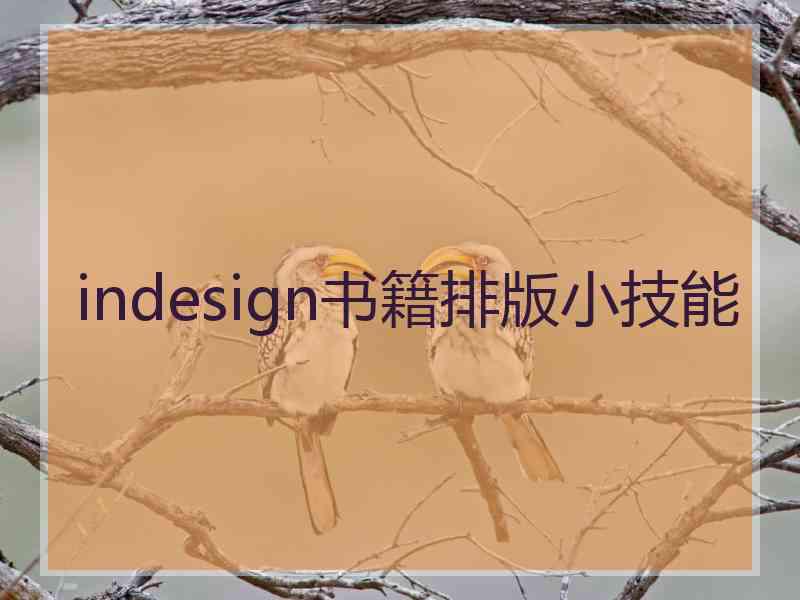 indesign书籍排版小技能