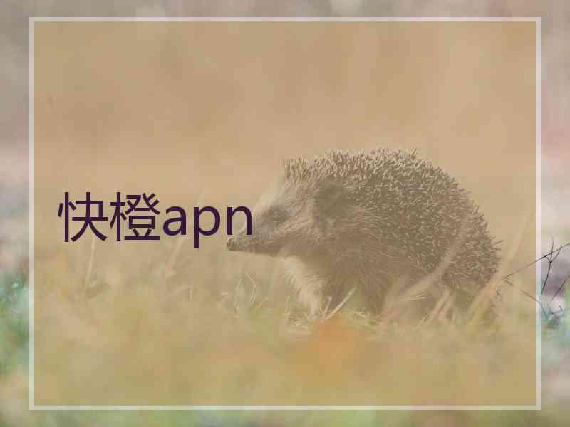 快橙apn