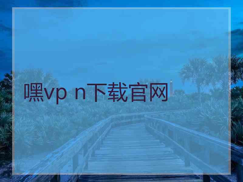 嘿vp n下载官网