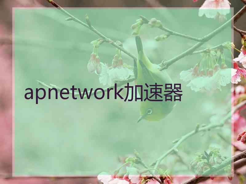 apnetwork加速器