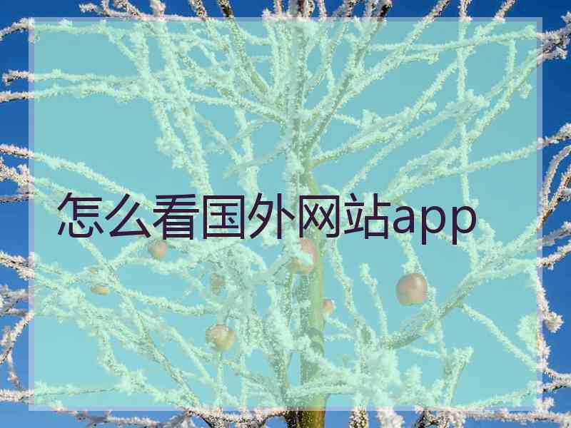 怎么看国外网站app