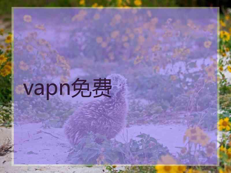 vapn免费