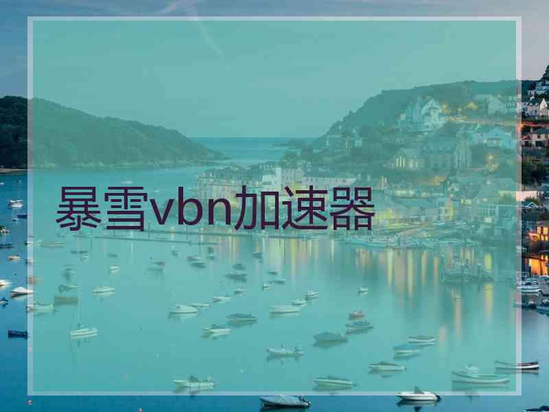 暴雪vbn加速器