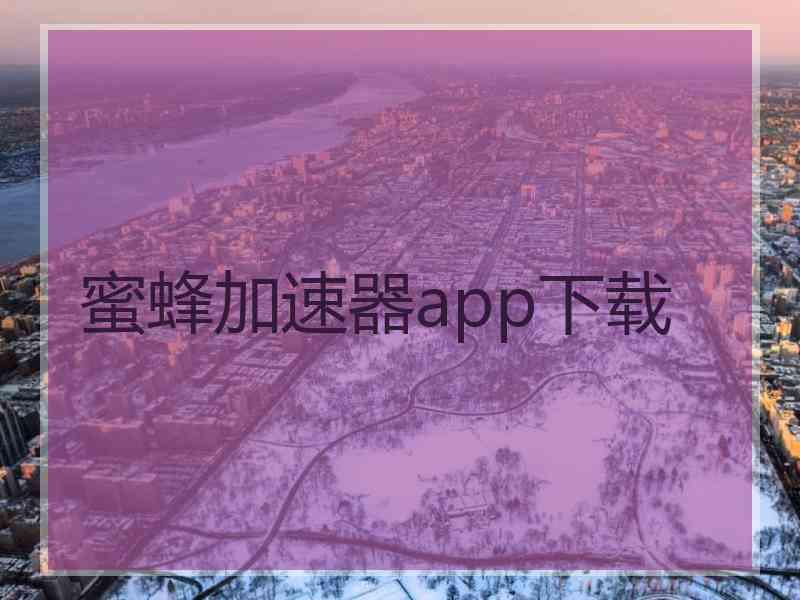 蜜蜂加速器app下载