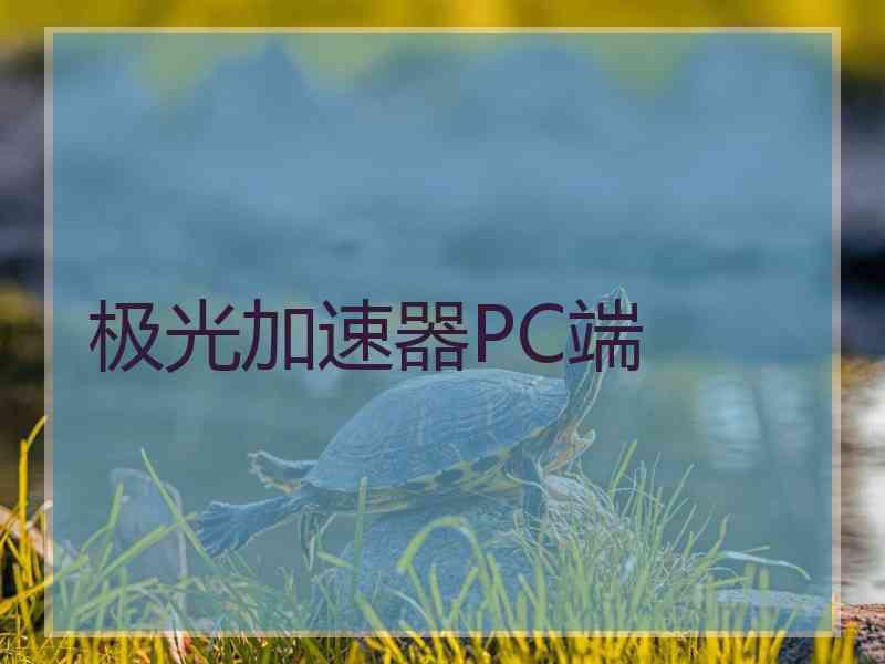 极光加速器PC端