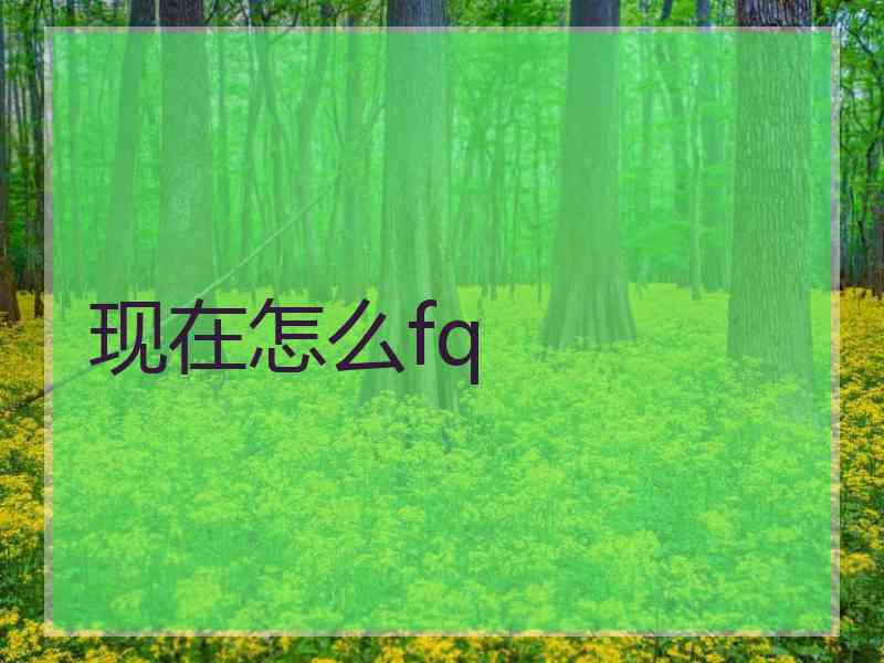 现在怎么fq