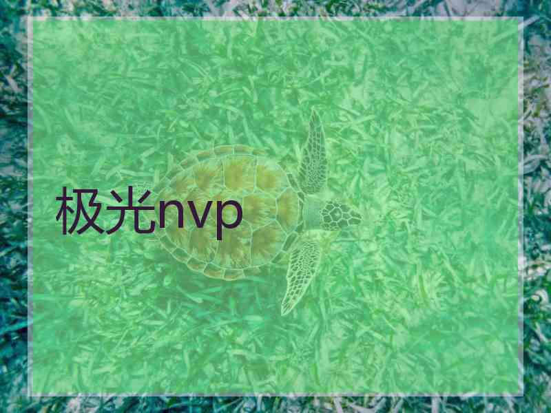 极光nvp